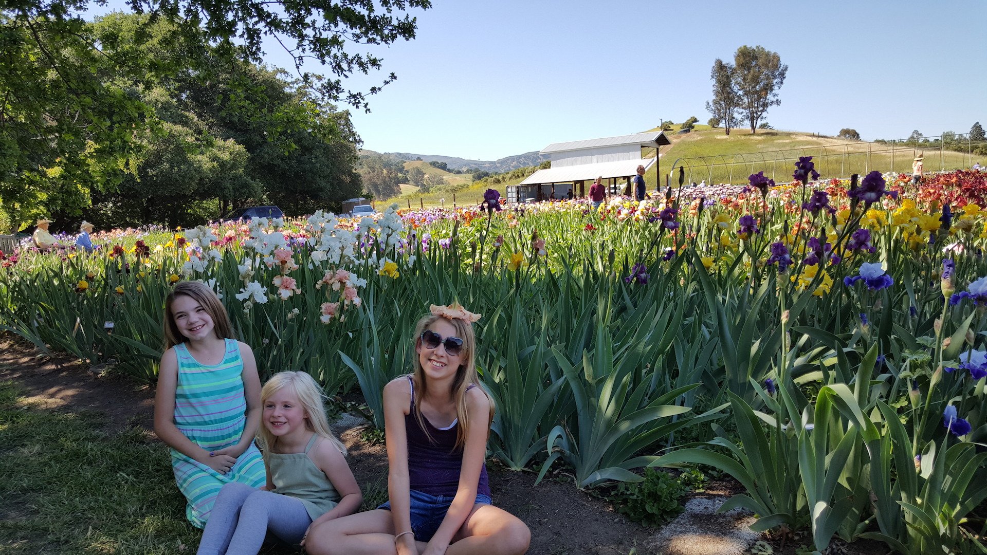 Museums, Outdoor Adventure, Things to Do, and Where to Play Visit