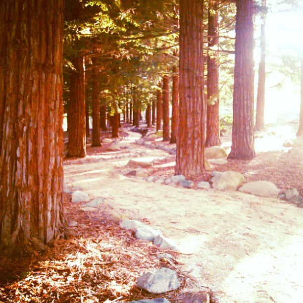 Things to Do in Vacaville, California Lagoon Valley Park Part 1