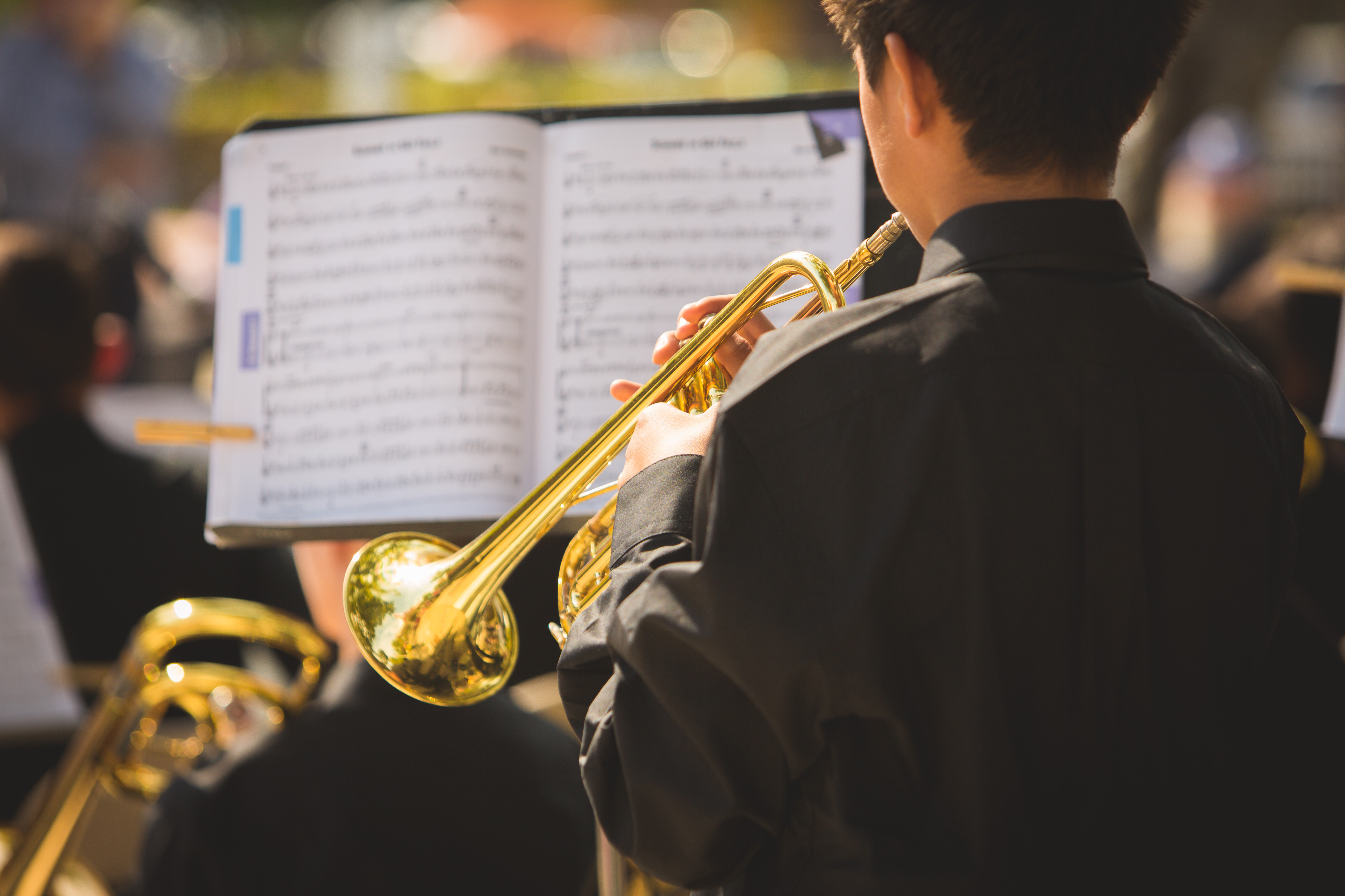 Vacaville Jazz Fest