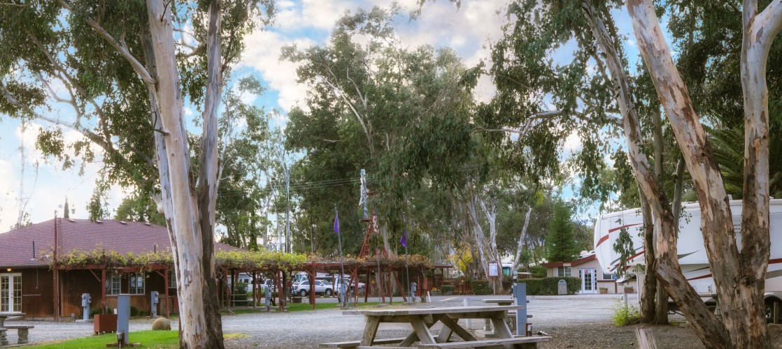 Vineyard RV Park Vacaville, CA Visit Vacaville CVB