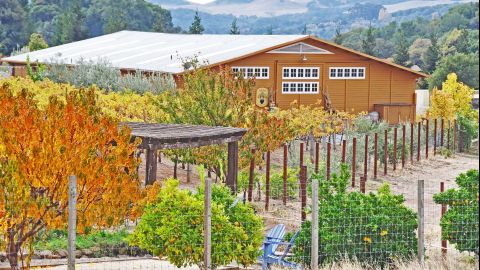 vezer vineyards application solano county